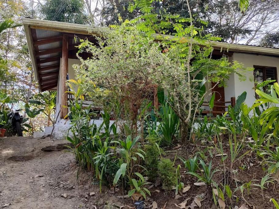 Casa Paraiso Manzanillo  Exterior photo